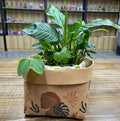BSCI Audited Factory Washable Bag Waterproof Kraft Paper Bag Potted Plant Bag