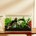 Yee Factory Wholesale 5 in 1 Low Iron Glass Aquarium Ultra White Clear Glass Curved Fish Tank 10 Gallon Small Fish Tank MegaBDM