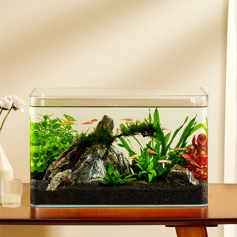 Yee Factory Wholesale 5 in 1 Low Iron Glass Aquarium Ultra White Clear Glass Curved Fish Tank 10 Gallon Small Fish Tank MegaBDM
