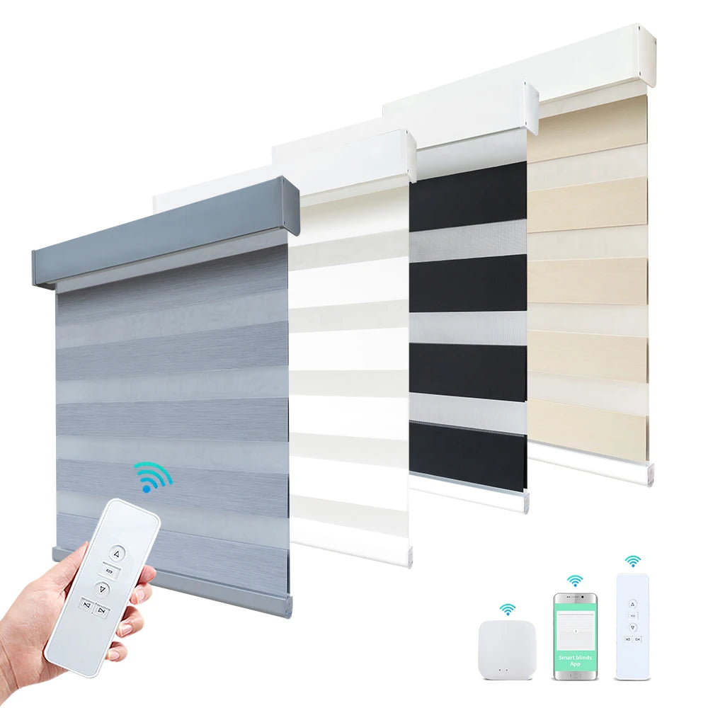 Alexa Tuya Wifi Smart Home Rechargeable Battery Electric Dual Layer Day Night 100% Blackout Motorized Roller Shades Zebra Blinds