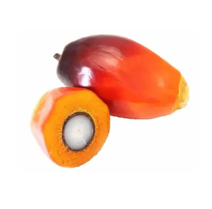 Dried Natural Cultivated Oil Palm Fruit Bulk Water AD Process for Food