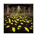 TNT Theme Park Lighting Floor Logo Laser Projection Lamp 100w Waterproof Outdoor Gobo Projector