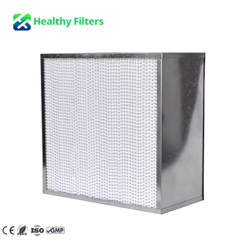 Customized 0.1um High Efficiency Large Merv 18 H13 H14 U15 Hepa Filter