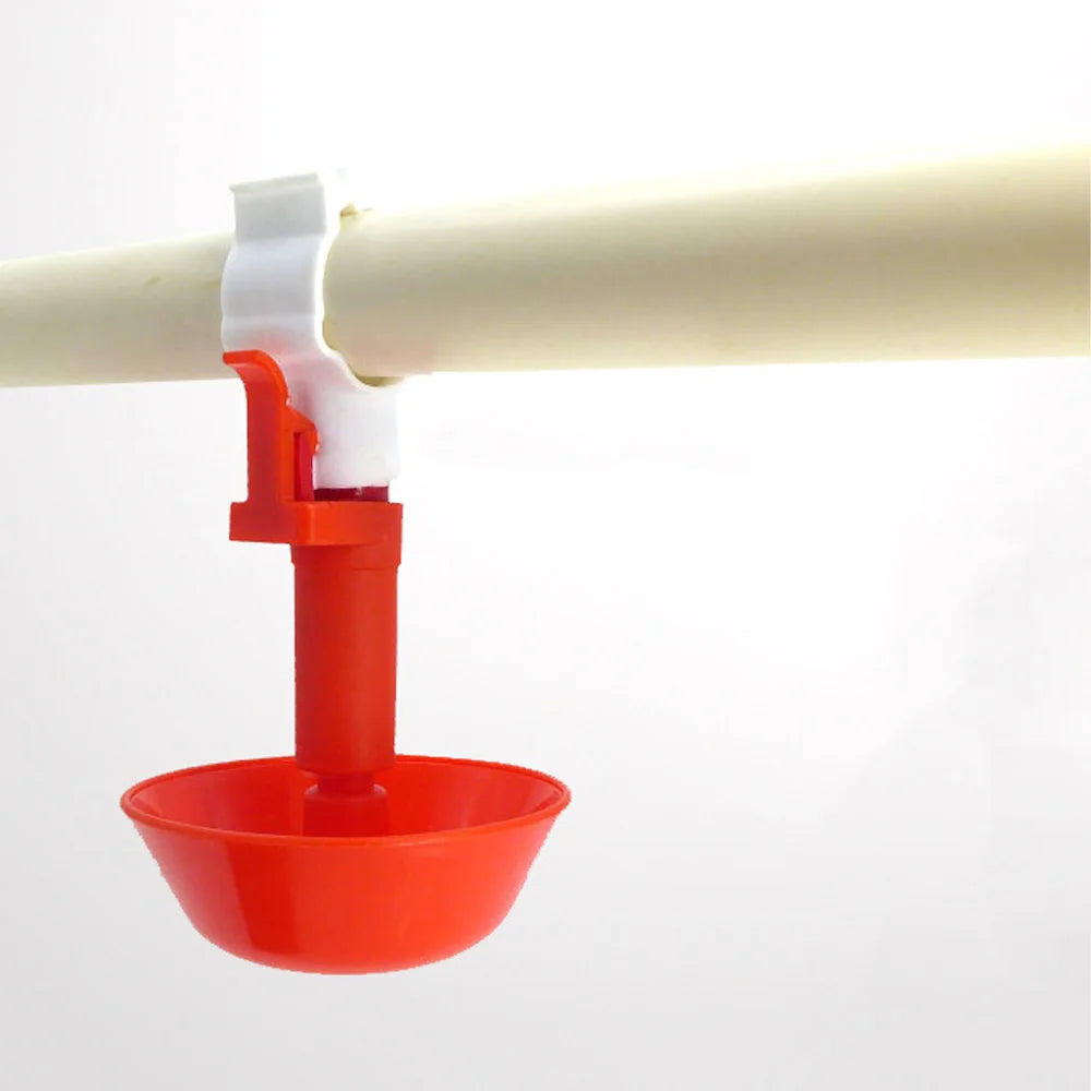 Thickened Pigeon Automatic Drinking Bowl Drinking Fountain Automatic Drinking