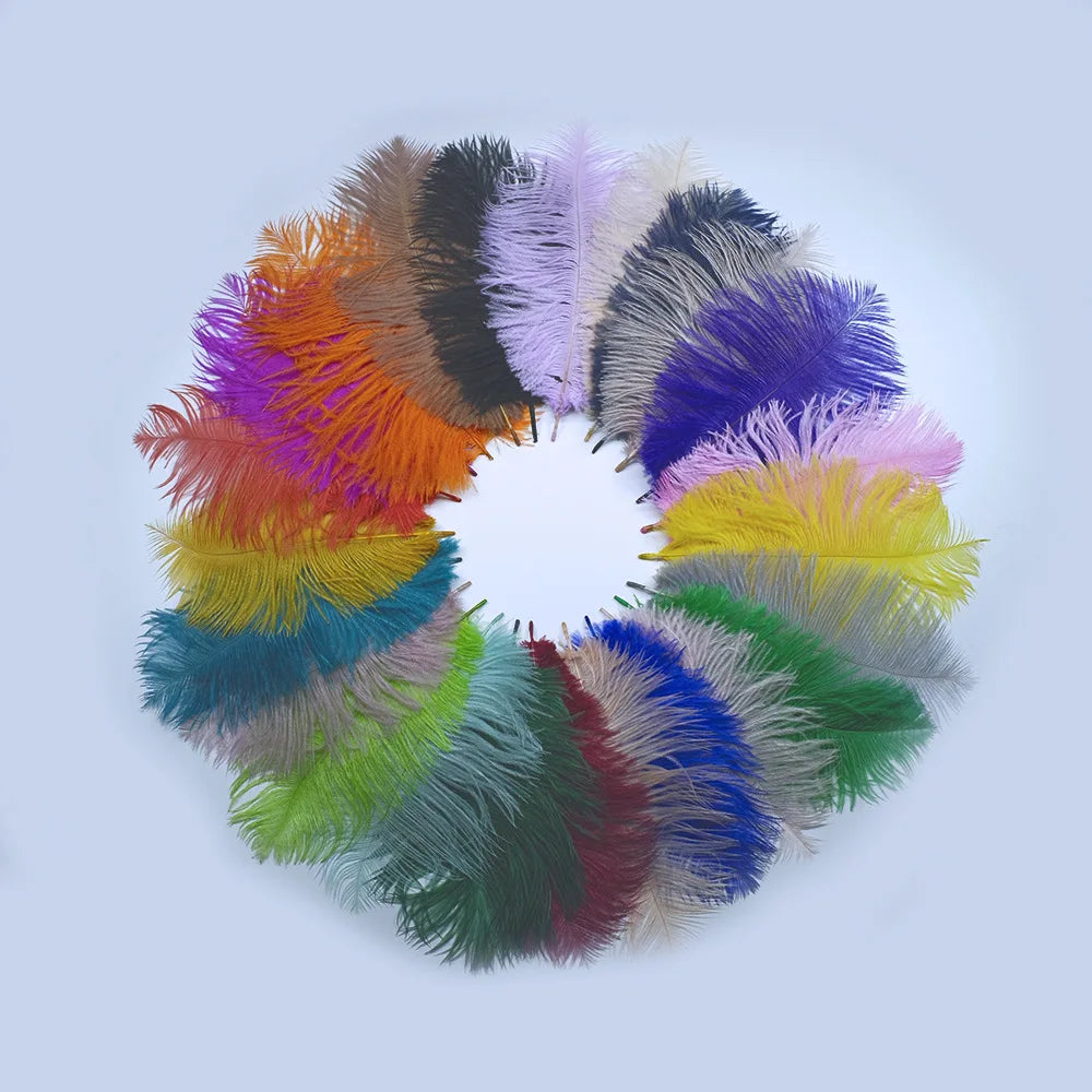 L902 Natural Long White Multi Color Peacock Feathers Ostrich Feathers  for Party Carnival Decoration