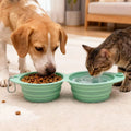 Foldable Dog Cat Bowls 2-in-1 Silicone Double Pet Bowl Collapsible Water and Food Dish Non-Spill Travel Bowl for Small Pets