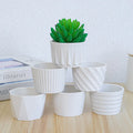 8*5.5cm White Trumpet Simplicity Ceramic Combination Round Gardening Succulent Flowerpot