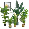 Bird of Paradise Artificial Plant Faux ZW240048 Tropical Palm Tree Tall Planter Floor Plant for Home Office Decor Indoor