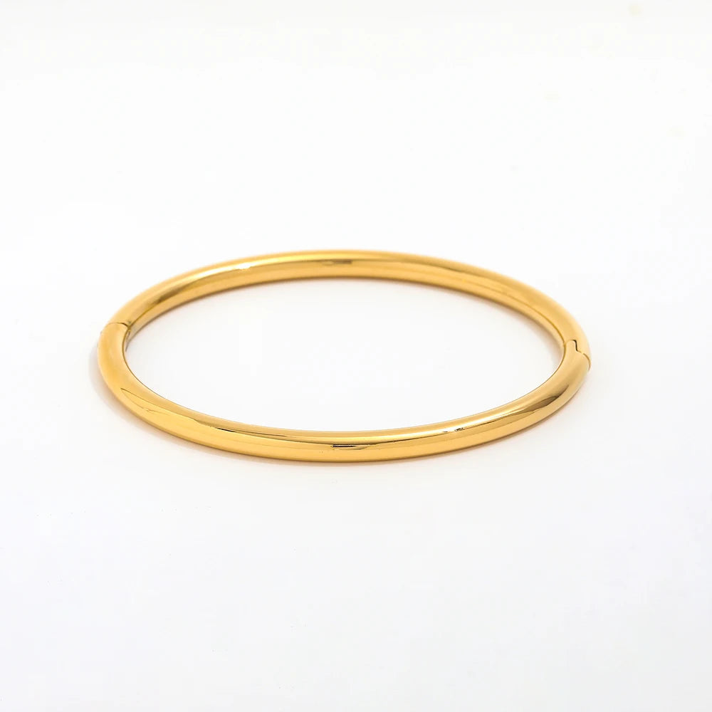 Fenny Tarnish Free Fashion Versatile Smooth Oval Polishing Bangle Bracelet Stylish for Women Stainless Steel Jewelry Wholesale