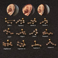 Luxury CZ Screw Back Stud Zirconia 12 Star Zodiac Jewelry Sign Piercing Stud Earrings Jewelry for Gift