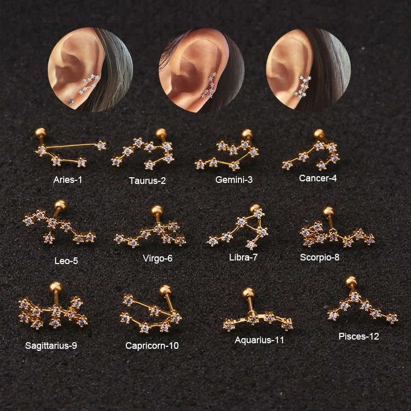Luxury CZ Screw Back Stud Zirconia 12 Star Zodiac Jewelry Sign Piercing Stud Earrings Jewelry for Gift