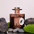 Wholesale Hot Sell Luxury clear Black Glass Bottle Aromatherapy Stick air Freshener Reed Diffuser