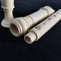 Wholesale Sinomusik Custom Brand 3- Block School Blockflute 8 Holes Plastic soprano Recorder Flute Baroque or German Finger