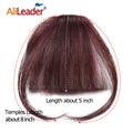AliLeader Air Bangs One Clip on Hair Extension Straight Hair Pure Human Hair Bangs Front Neat Fringe