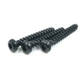 WN 1452 WN1452 Torx Drive Pan Head Thread Forming PT Screws for Plastic