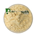 Premium Cheddar Cheese Powder for Snack Seasoning and Clean Label Food Manufacturing Solutions