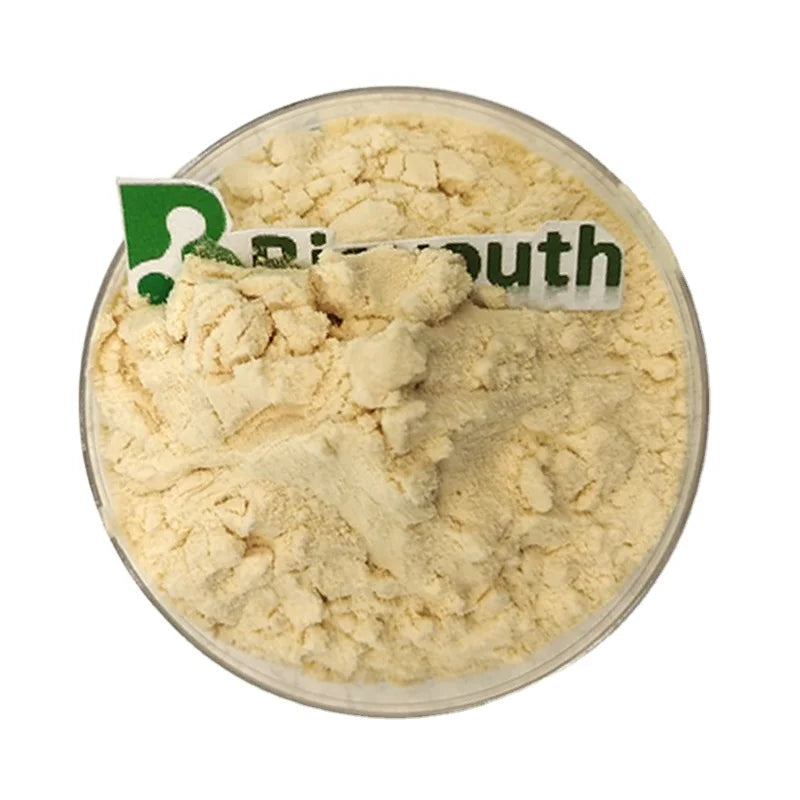 Premium Cheddar Cheese Powder for Snack Seasoning and Clean Label Food Manufacturing Solutions