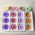 Eternal Flower 6-7 CM Big Austin Everlasting Rose Head Preserved Flowers-Mother's Day & Valentine's Day Long Lasting 3-5 Years