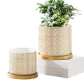 Newest Hot Selling Creative Nordic Modern Cement Flower Vase Table Succulent  Pot with Tray