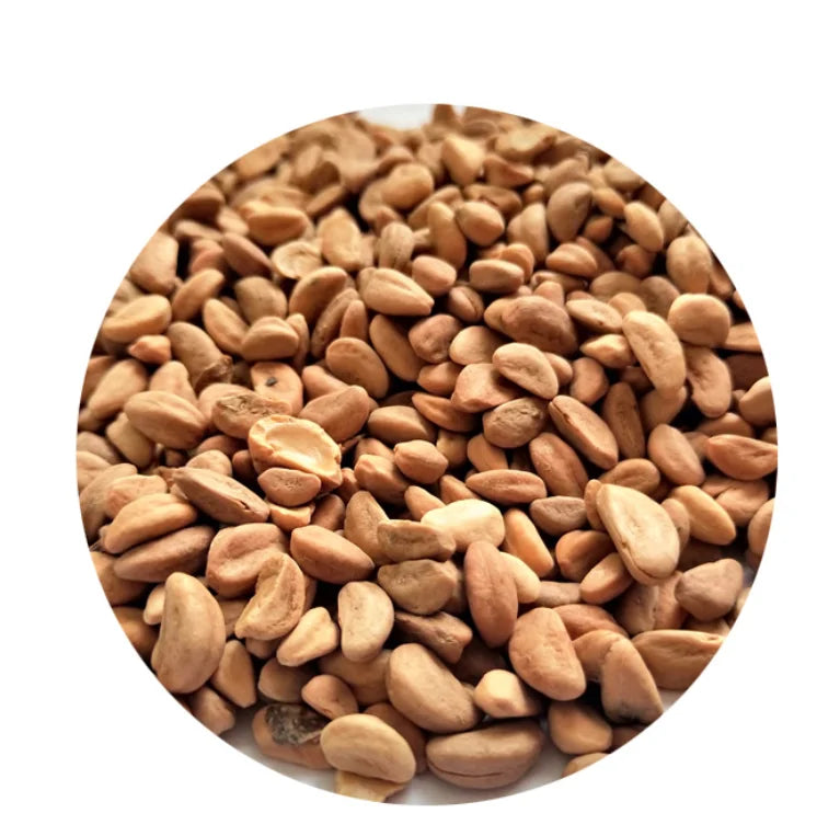 Hawthorn Seed Raw Dried Natural Pure Hawthorn Seeds for Tea
