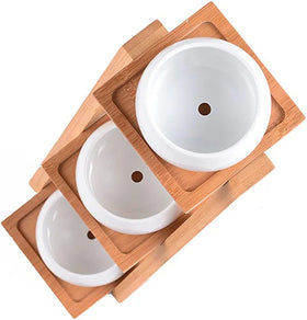 Dropshipping 3.3 Inches Ceramic Round Succulent Plant Pot With Drainage Hole Planter for Succulent Plants With Bamboo Tray