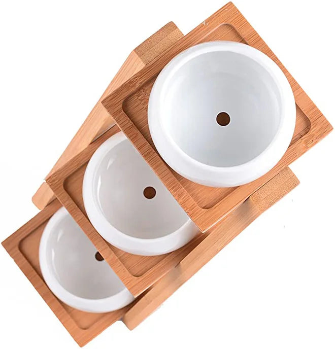 Dropshipping 3.3 Inches Ceramic Round Succulent Plant Pot With Drainage Hole Planter for Succulent Plants With Bamboo Tray