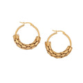 Women's Trendy Stainless Steel Hoop Earrings Tarnish-Free Other Fashion Jewelry