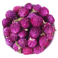 Qian Ri Hong Red Gomphrena Flower Natural Whole Dried Gomphrena Globosa Flowers with Red Color