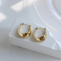 Special Jewelry Gold Plated Stainless Steel Hoop Earring Chunky Womens Hoop Earrings Trendy Huggie Hoop Earrings