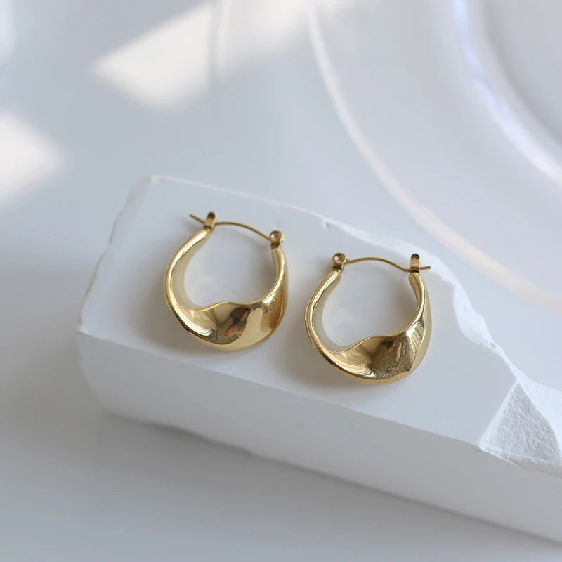 Special Jewelry Gold Plated Stainless Steel Hoop Earring Chunky Womens Hoop Earrings Trendy Huggie Hoop Earrings