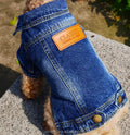 Cheap High Quality Jean Clothes Pet Cowboy Dog Denim Jacket