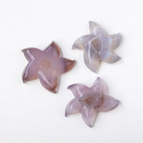 Natural Crystal Hand Carved Animal Agate Geode Starfish Carving Crystal Agate Geode