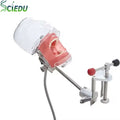 Dental Model Desktop Mounted Cheap Adjustable Teeth Replacement Simple Table Head Teeth Model Dental Phantom Head MegaBDM