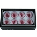 Wholesale 8pcs Real Touch Austin Roses Preserved Forever Flowers Red Back Pink Colors for Graduation Day Mother's Day