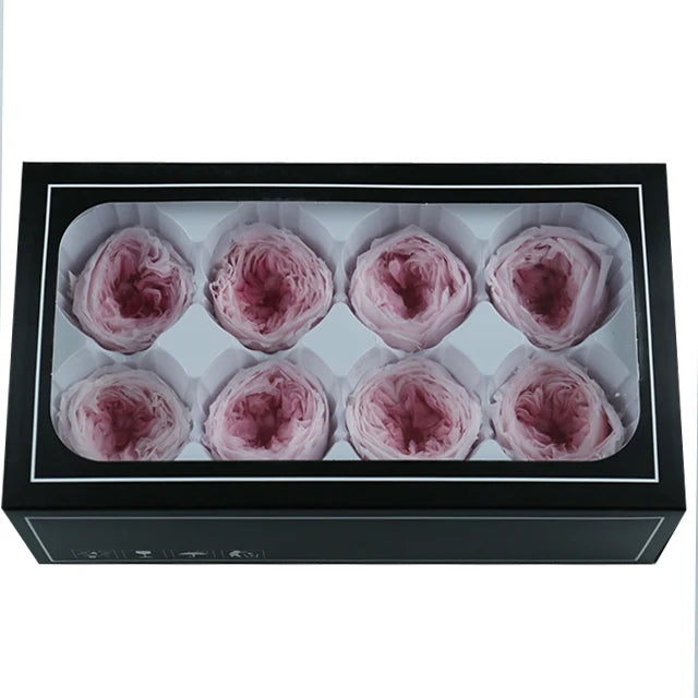 Wholesale 8pcs Real Touch Austin Roses Preserved Forever Flowers Red Back Pink Colors for Graduation Day Mother's Day