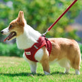Luxury Durable Reflective Walking Pet Harness Adjustable Straps Breathable Corduroy Fabric Dog Harness Leash Set