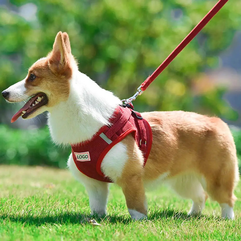 Luxury Durable Reflective Walking Pet Harness Adjustable Straps Breathable Corduroy Fabric Dog Harness Leash Set