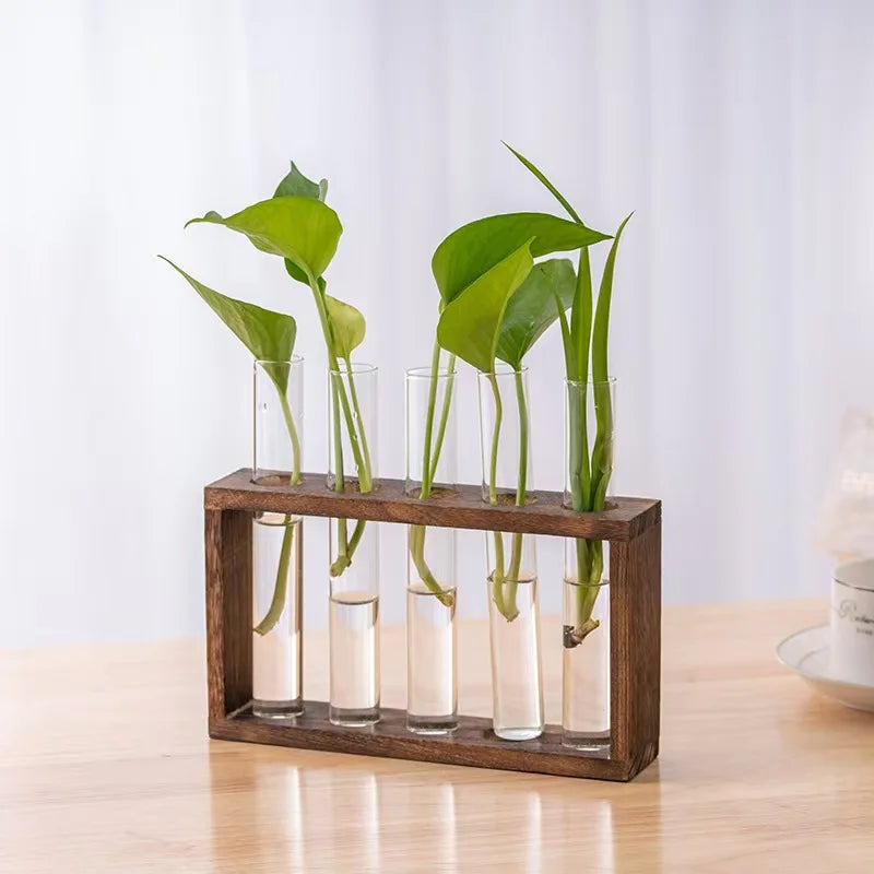 Tailai Plant Terrarium with Wood Stand Wall Hanging Live Plant Propagation Station Planters Glass Tubes Hydroponic Vase for Home