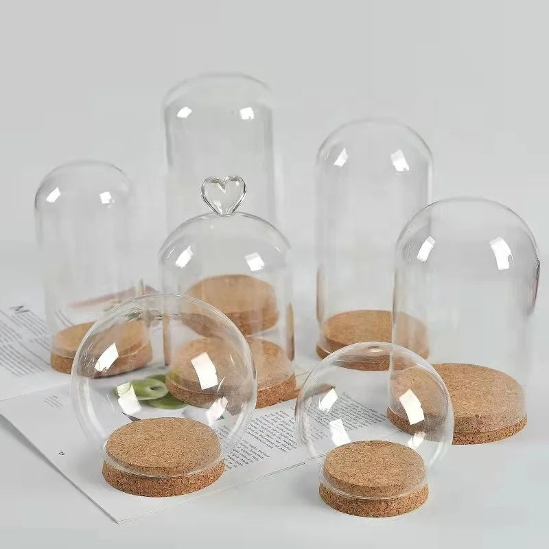 Clear Conventional Antique Round Cylinder Flower Glass Dome for Decoration With Cork Wooden Base