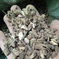 Xu Duan Dried Dipsacus Asperoides Root Himalayan Teasel Roots for Sale