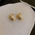 Daily Wear Classic Wear Gold  Earrings Daily Wear for Women N206046