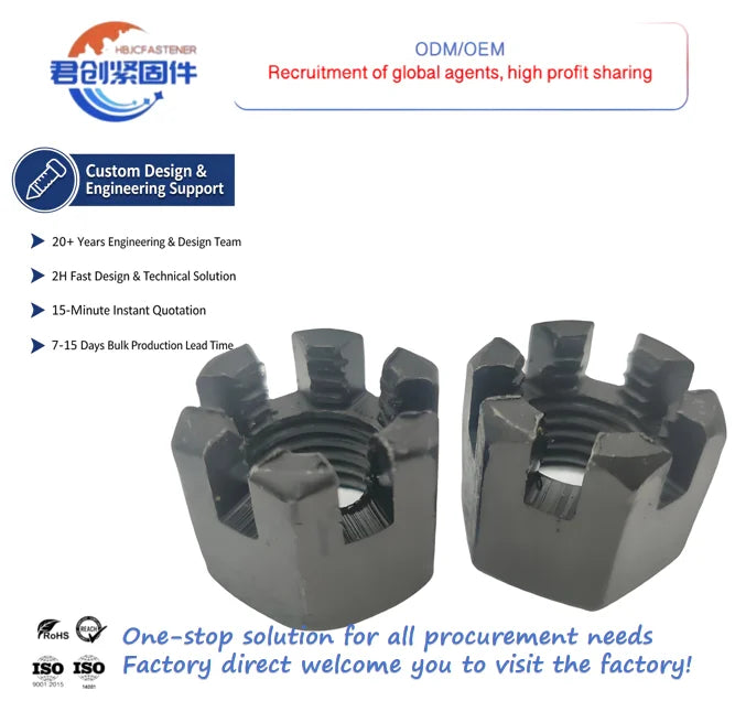 Hexagon Slotted Nut Manufacturer Hex Slotted Nut China Customization Wholesale Price