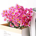 Factory Direct Sales of Dried Flowers Natural Rabbit Tail Grass Decorative Flowers Wedding Dried Flowers Ornaments