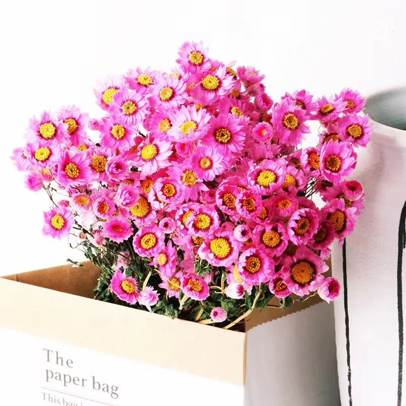 Factory Direct Sales of Dried Flowers Natural Rabbit Tail Grass Decorative Flowers Wedding Dried Flowers Ornaments