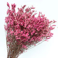 2025 Hot Sale Real Natural Fresh Material Preserved Caspea Real Touch Flower for Home Decor Wedding Graduation Father's Day