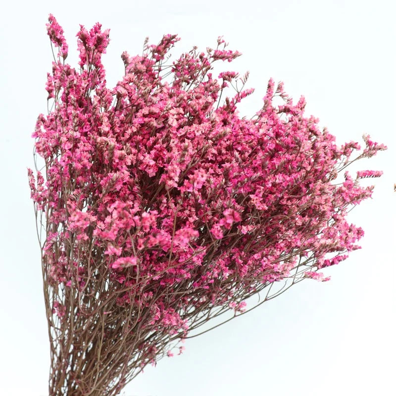 2025 Hot Sale Real Natural Fresh Material Preserved Caspea Real Touch Flower for Home Decor Wedding Graduation Father's Day
