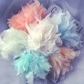 D1212 Cloth Skirt Lace Feather Wall Feather Lamp DIY Dance Costume Decoration Materials Turkey Feather