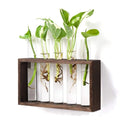 Wall Hanging Wood Stand Tabletop Hydroponic Mini Glass Planters Plant Terrarium Propagation Station Bud test Tube Flower Vase