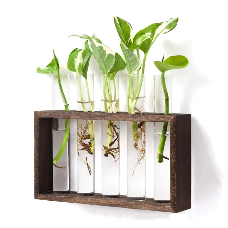 Wall Hanging Wood Stand Tabletop Hydroponic Mini Glass Planters Plant Terrarium Propagation Station Bud test Tube Flower Vase
