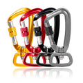 4KN Screw Locking Dog Leash Karabiner Clip Aluminum Sanp Hook Dog Carabiner